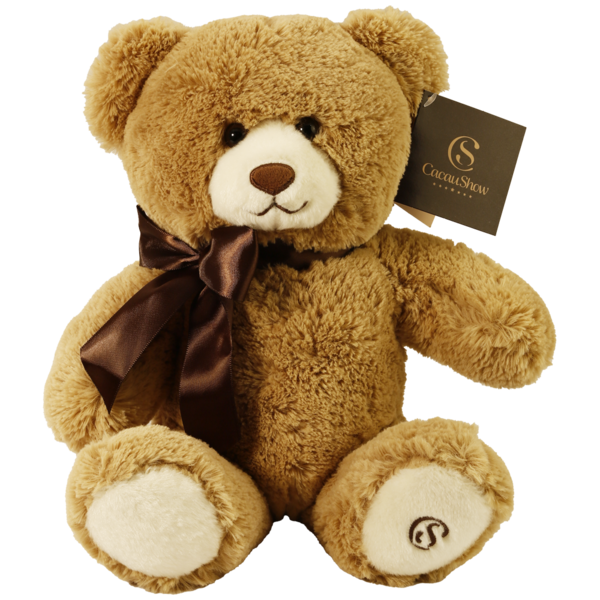 Urso de Pel&uacute;cia com La&ccedil;o